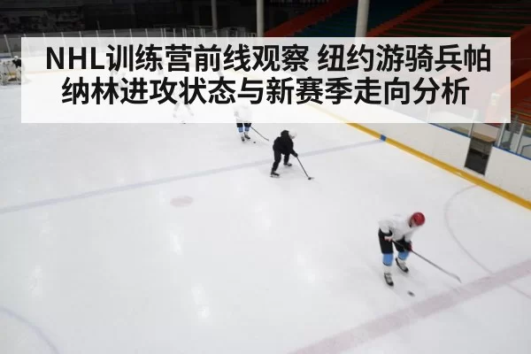 ice hockey training camp